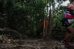 BIB: 
                            <button type="button" onclick="openModal(25806634)" class="btn btn-primary btn-sm float-right btn-popup" data-toggle="modal" data-target=".modal-high-quality">
                        <i class="fas fa-shopping-cart"></i> Add to Cart
                    </button>
                                            <button type="button" onclick="isThisMe(25806634, true)" class="btn btn-success btn-sm float-right btn-popup btn-isme hidden" data-toggle="tooltip" data-placement="bottom" title="นี่คือรูปของคุณใช่ไหม คลิกที่นี่เพื่อเอาเข้าอัลบั้ม">
                        <i class="fas fa-plus"></i> Add to album
                    </button>
                    <button type="button" onclick="isThisMe(25806634, false)" class="btn btn-warning btn-sm float-right btn-popup btn-isnotme hidden">
                        <i class="fas fa-ban"></i> Remove from album
                    </button>